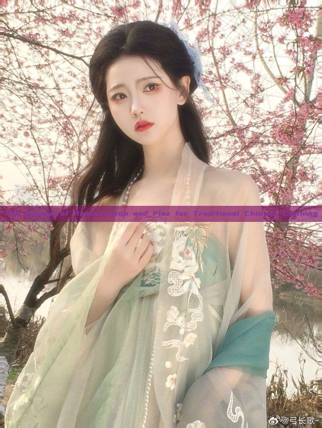 The Revival of Hanfu:Cotton and Flax for Traditional Chinese Clothing The Revival of Hanfu:Cotton and Flax for Traditional Chinese Clothing