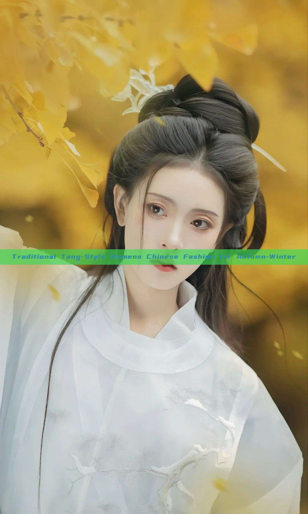 Traditional Tang-Style Womens Chinese Fashion for Autumn-Winter Traditional Tang-Style Womens Chinese Fashion for Autumn-Winter