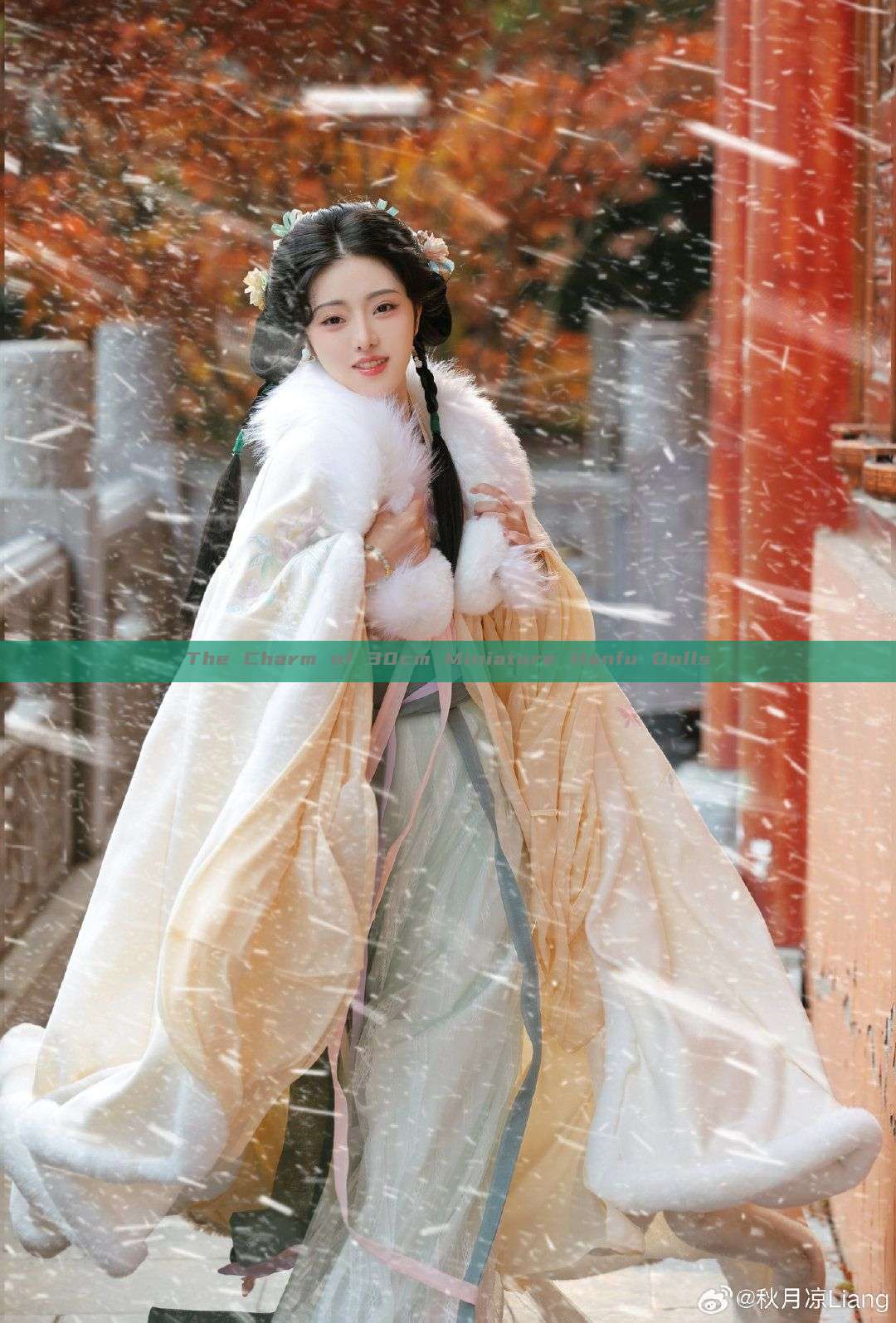 The Charm of 30cm Miniature Hanfu Dolls