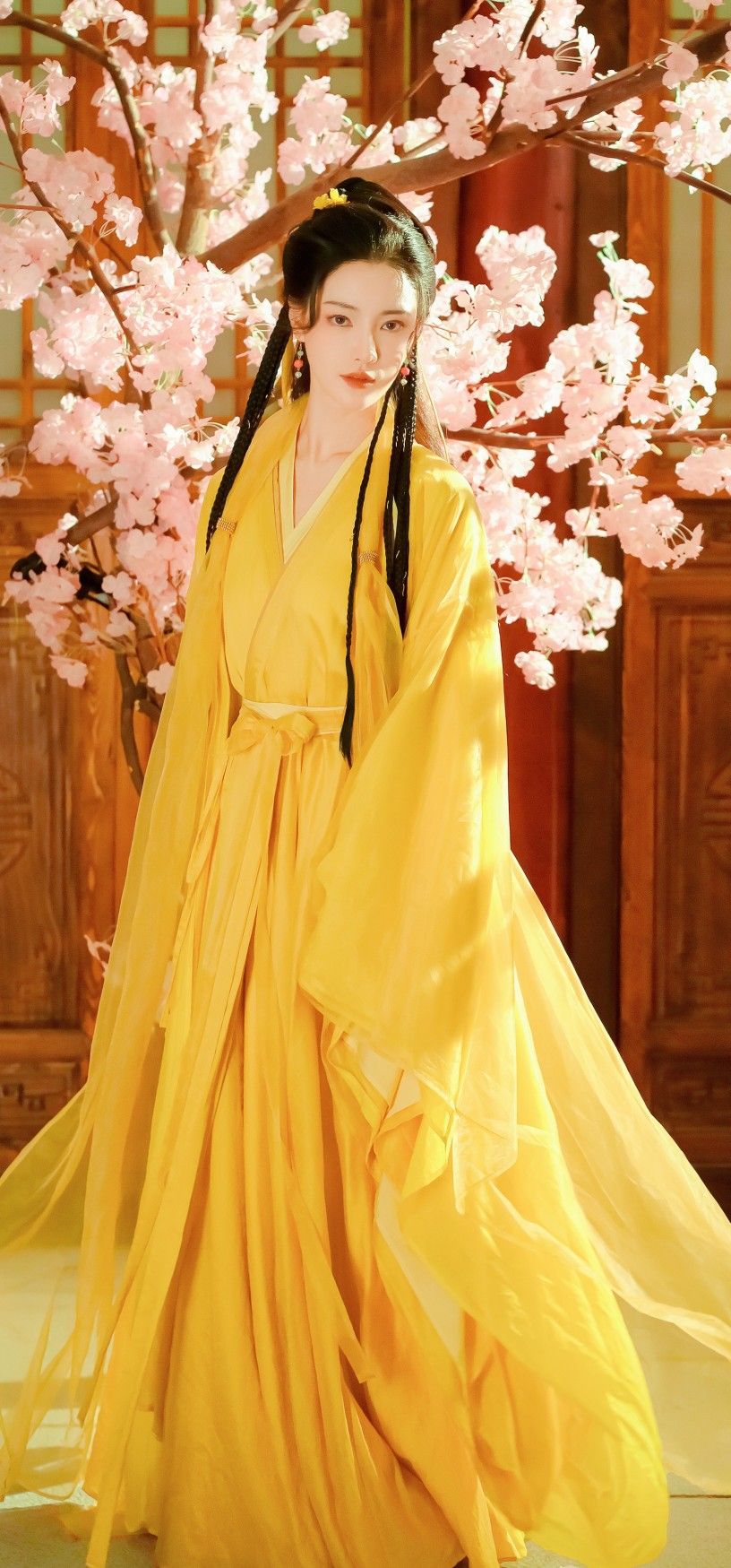 The Enchantment of Hanfu Traditional Chinese Costumes and Ancient Style The Enchantment of Hanfu Traditional Chinese Costumes and Ancient Style