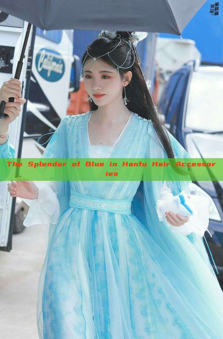 The Splendor of Blue in Hanfu Hair Accessories The Splendor of Blue in Hanfu Hair Accessories