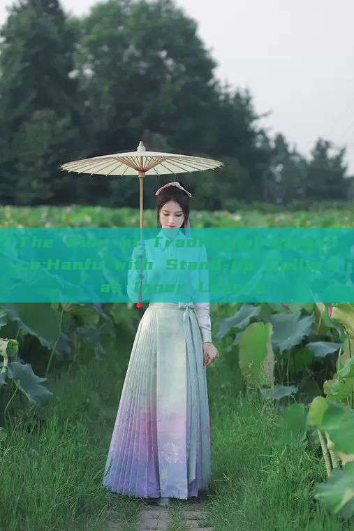 The Rise of Traditional Elegance:Hanfu with Stand-up Collars as Inner Layers The Rise of Traditional Elegance:Hanfu with Stand-up Collars as Inner Layers