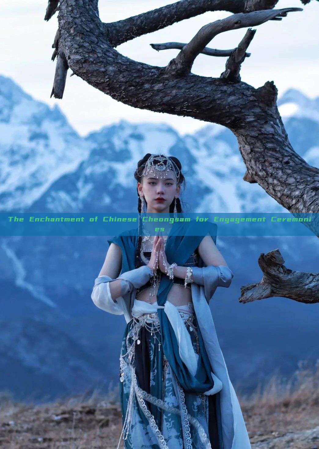 The Enchantment of Chinese Cheongsam for Engagement Ceremonies The Enchantment of Chinese Cheongsam for Engagement Ceremonies