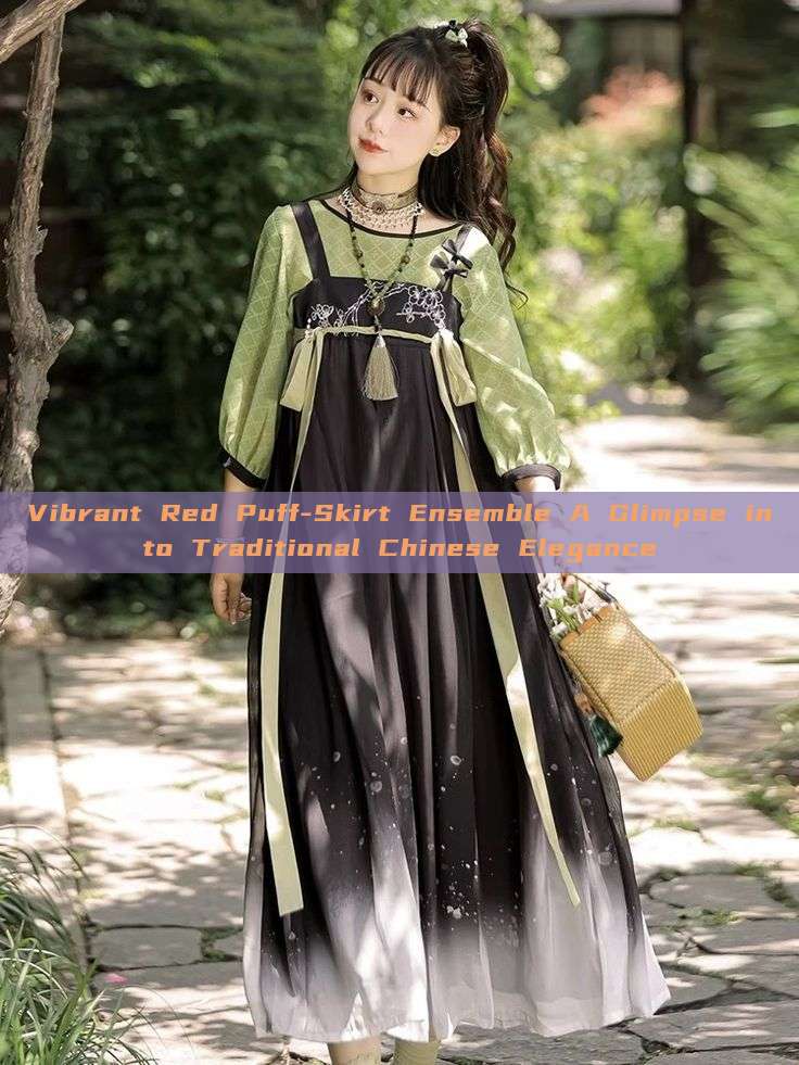 Vibrant Red Puff-Skirt Ensemble A Glimpse into Traditional Chinese Elegance Vibrant Red Puff-Skirt Ensemble A Glimpse into Traditional Chinese Elegance