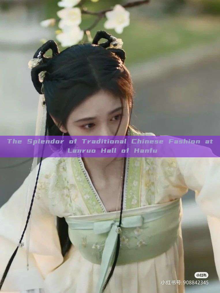 The Splendor of Traditional Chinese Fashion at Lanruo Hall of Hanfu The Splendor of Traditional Chinese Fashion at Lanruo Hall of Hanfu