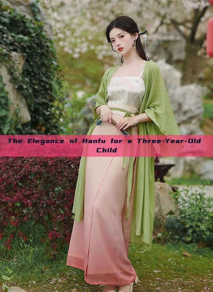 The Elegance of Hanfu for a Three-Year-Old Child