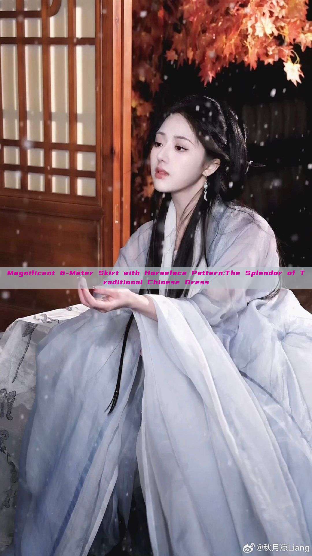 Magnificent 6-Meter Skirt with Horseface Pattern:The Splendor of Traditional Chinese Dress Magnificent 6-Meter Skirt with Horseface Pattern:The Splendor of Traditional Chinese Dress