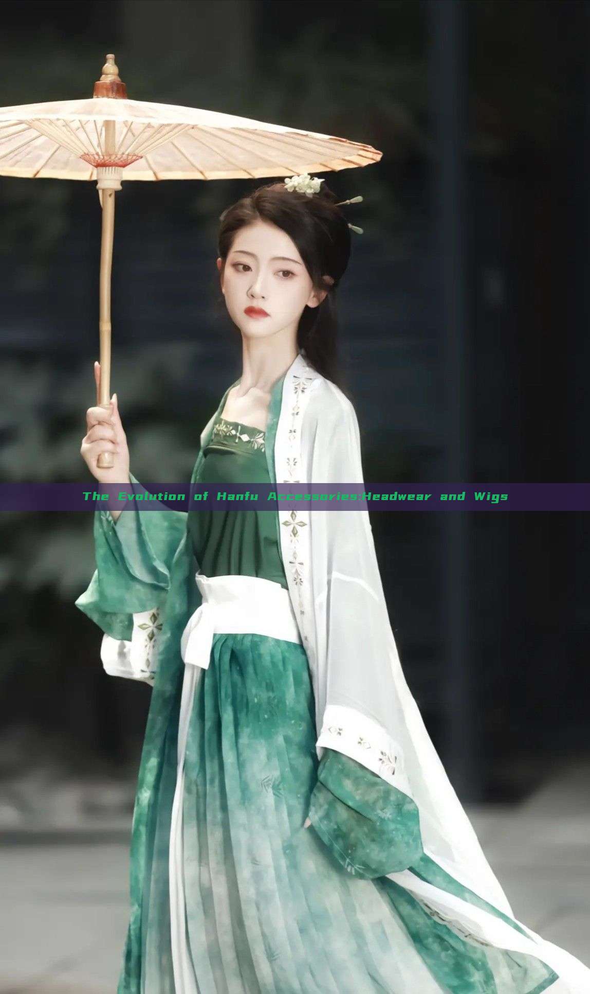 The Evolution of Hanfu Accessories:Headwear and Wigs