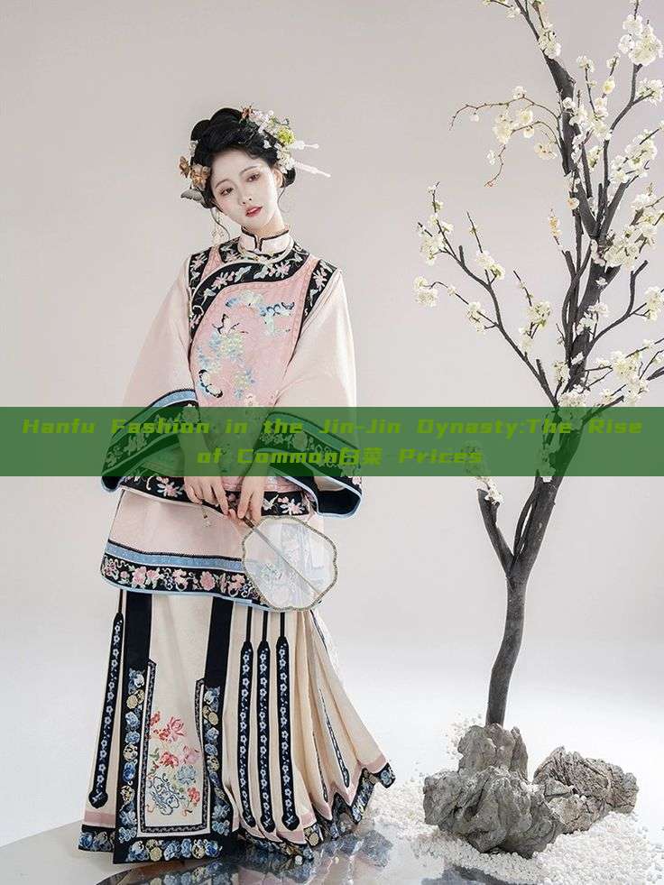 Hanfu Fashion in the Jin-Jin Dynasty:The Rise of Common白菜 Prices Hanfu Fashion in the Jin-Jin Dynasty:The Rise of Common白菜 Prices