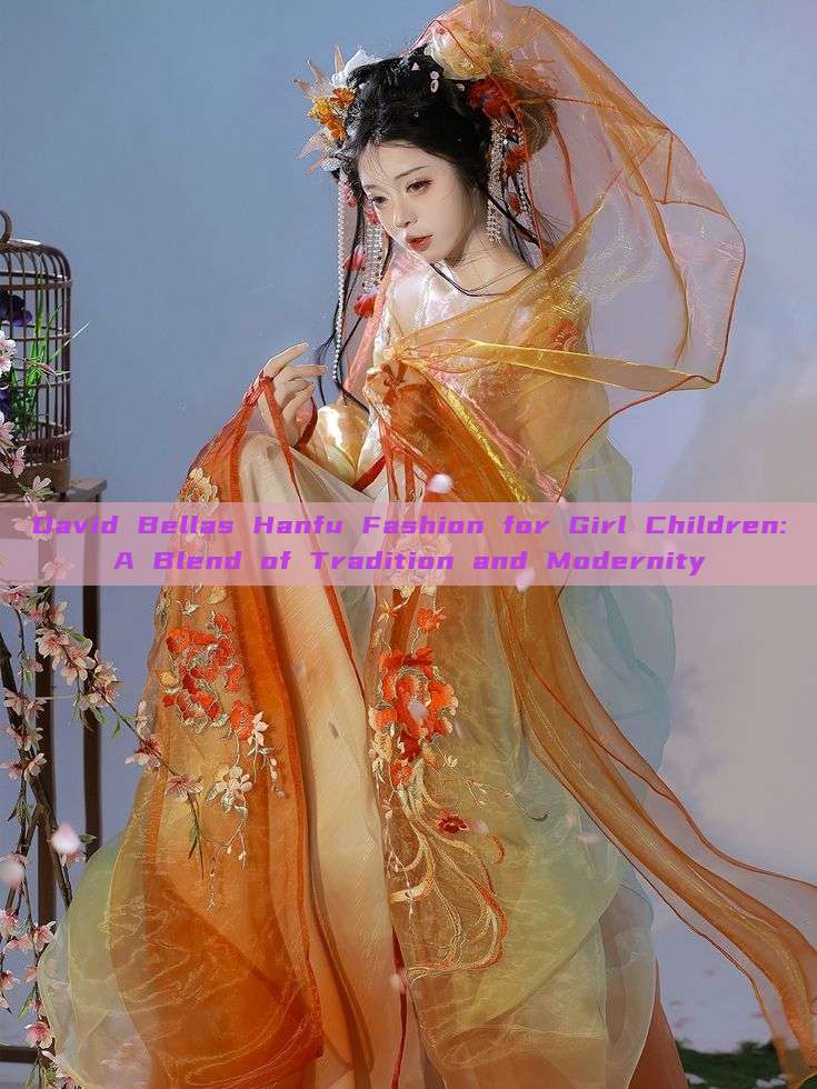 David Bellas Hanfu Fashion for Girl Children:A Blend of Tradition and Modernity David Bellas Hanfu Fashion for Girl Children:A Blend of Tradition and Modernity