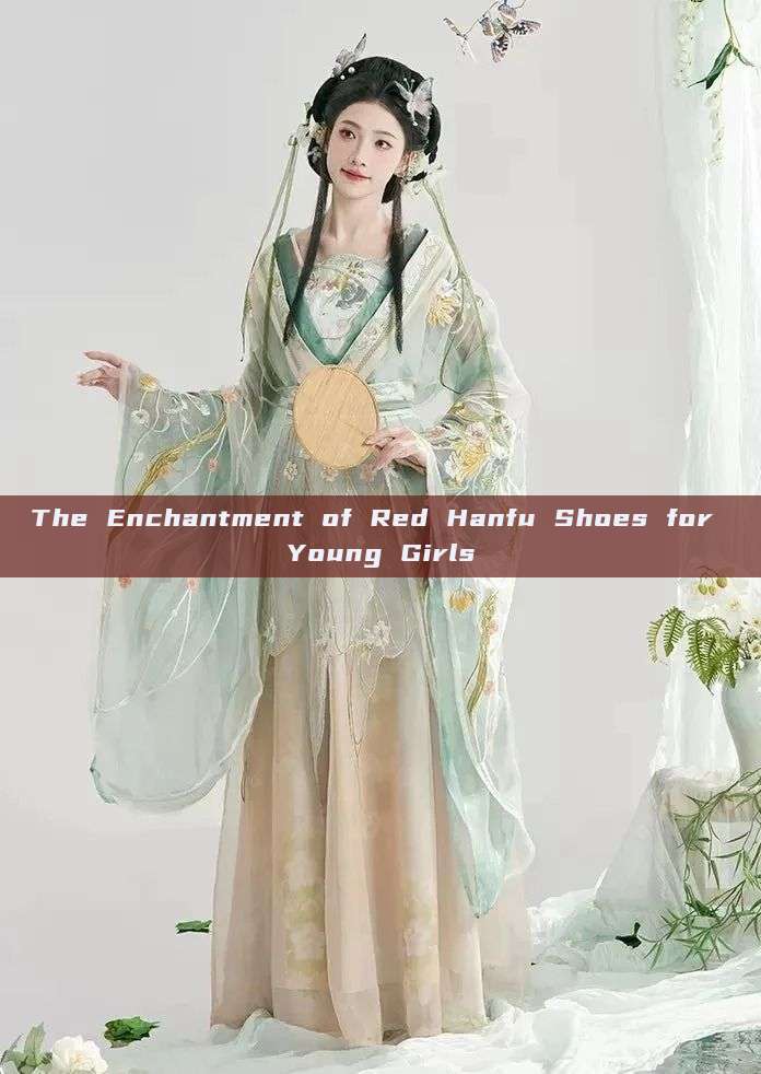 The Enchantment of Red Hanfu Shoes for Young Girls The Enchantment of Red Hanfu Shoes for Young Girls