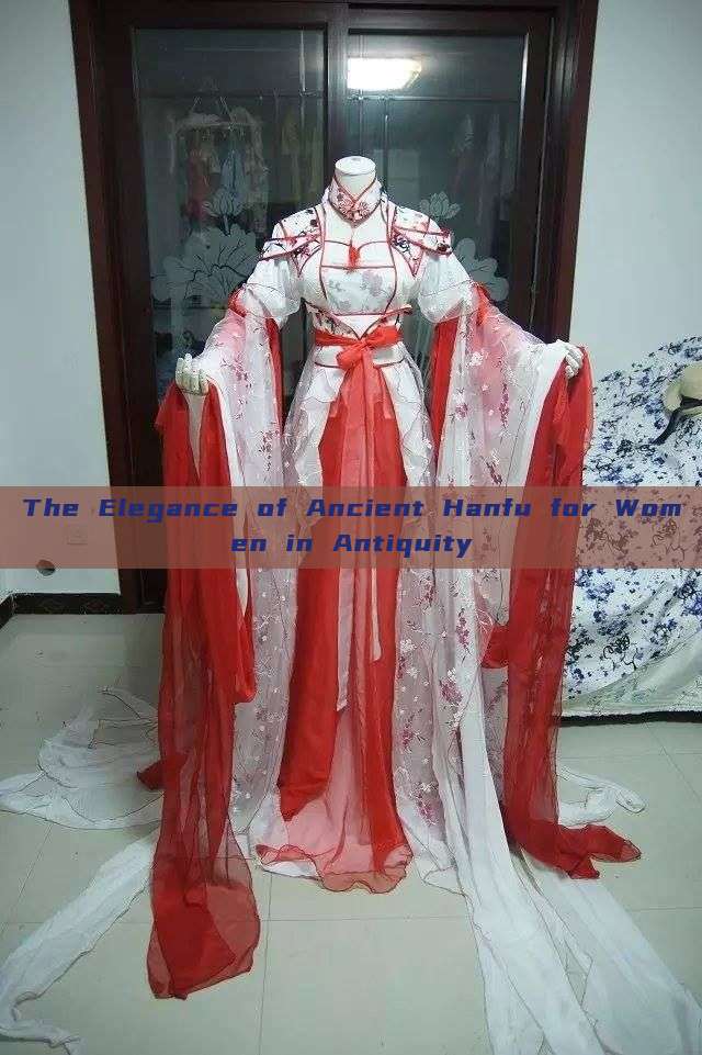 The Elegance of Ancient Hanfu for Women in Antiquity The Elegance of Ancient Hanfu for Women in Antiquity