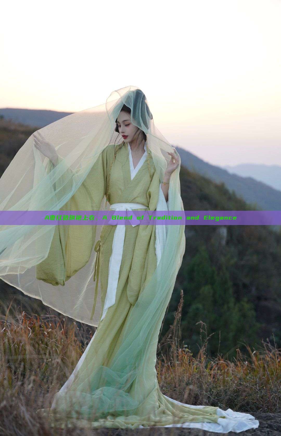 A枣红色旗袍上衣,A Blend of Tradition and Elegance A枣红色旗袍上衣,A Blend of Tradition and Elegance