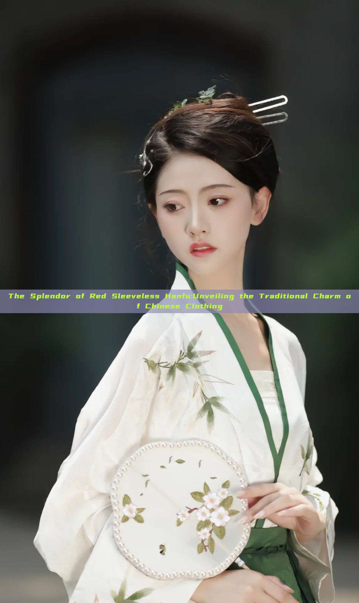 The Splendor of Red Sleeveless Hanfu:Unveiling the Traditional Charm of Chinese Clothing The Splendor of Red Sleeveless Hanfu:Unveiling the Traditional Charm of Chinese Clothing