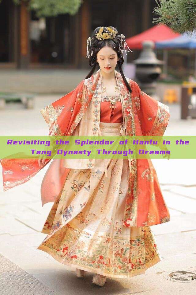 Revisiting the Splendor of Hanfu in the Tang Dynasty Through Dreams Revisiting the Splendor of Hanfu in the Tang Dynasty Through Dreams