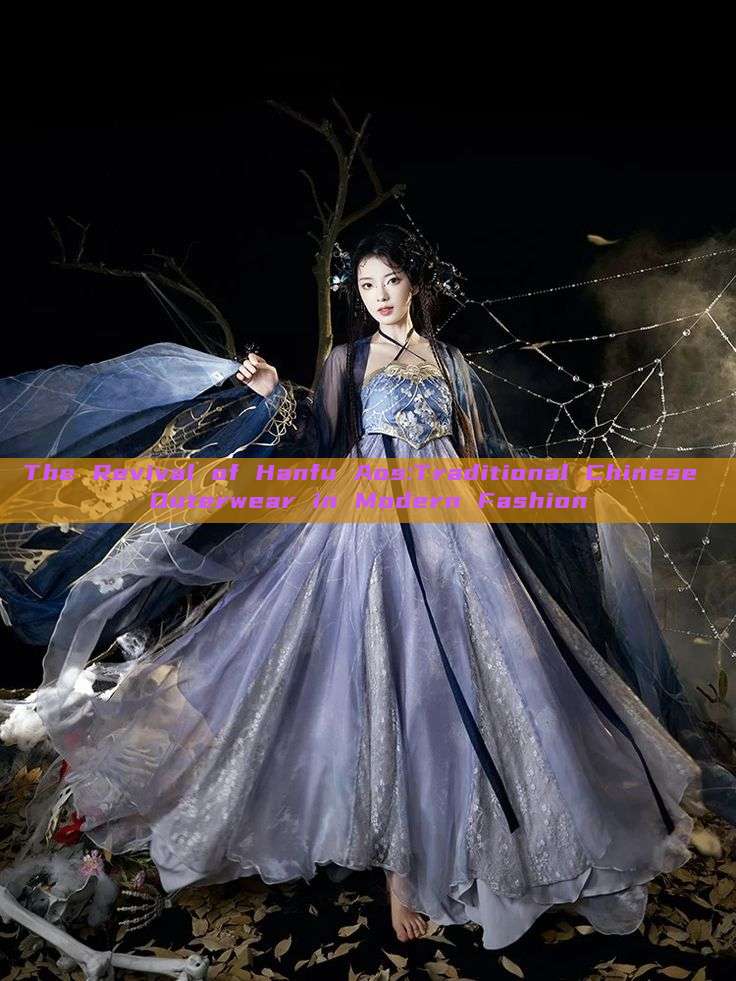 The Revival of Hanfu Aos:Traditional Chinese Outerwear in Modern Fashion The Revival of Hanfu Aos:Traditional Chinese Outerwear in Modern Fashion