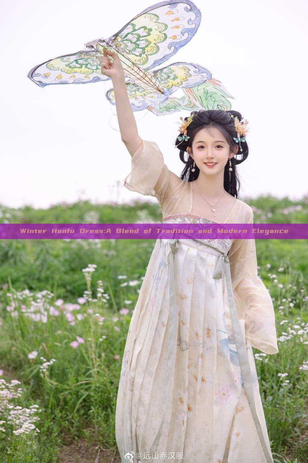 Winter Hanfu Dress:A Blend of Tradition and Modern Elegance Winter Hanfu Dress:A Blend of Tradition and Modern Elegance