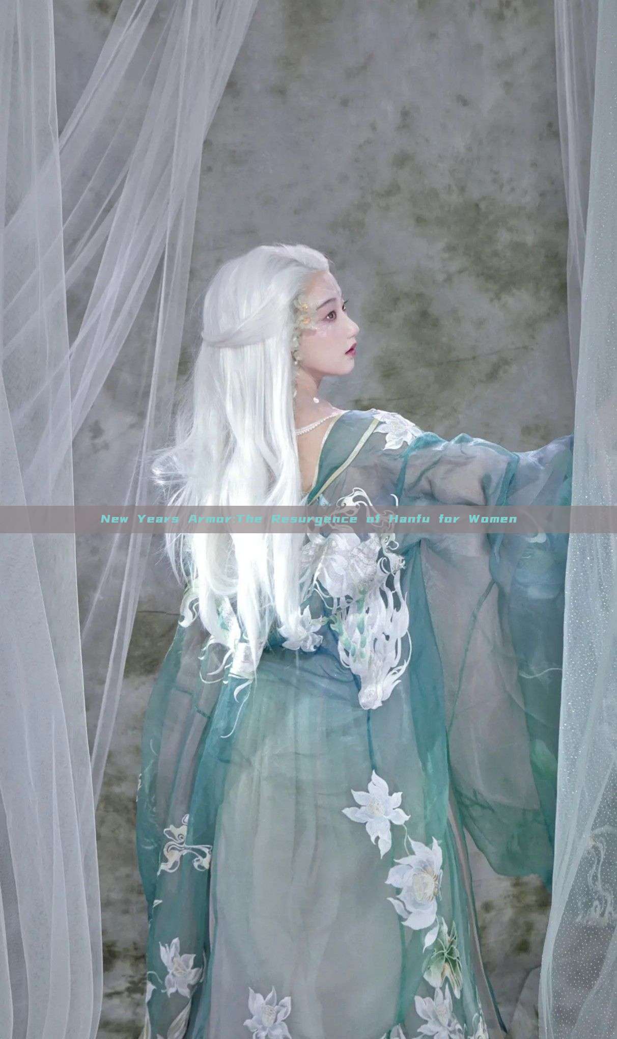 New Years Armor:The Resurgence of Hanfu for Women New Years Armor:The Resurgence of Hanfu for Women