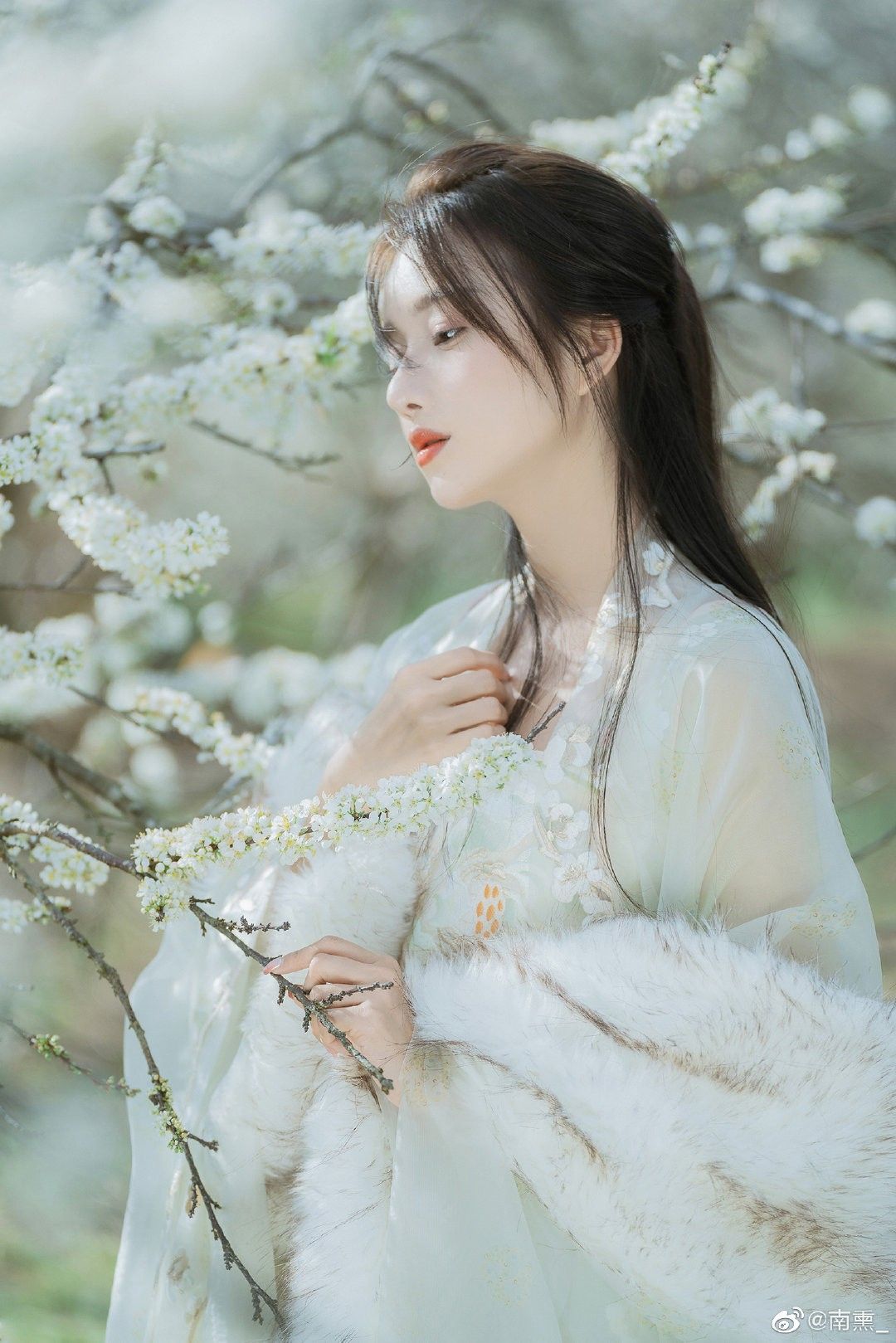 Month-Inspired Cheongsam:The Evolution of Traditional Chinese Fashion Month-Inspired Cheongsam:The Evolution of Traditional Chinese Fashion