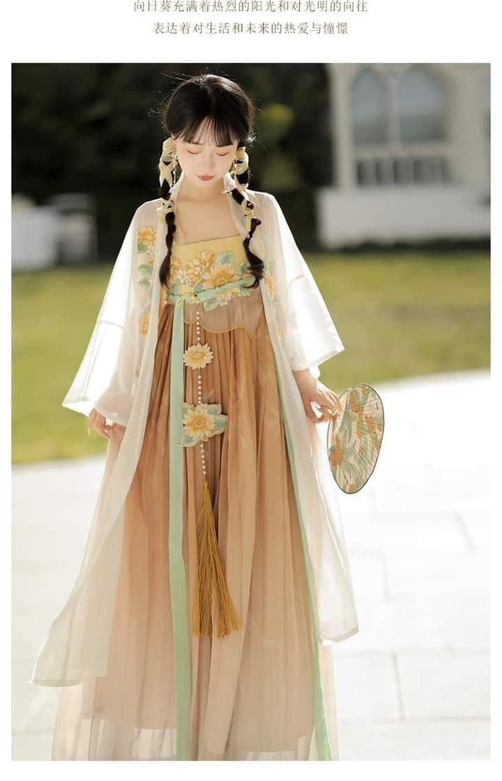 The Splendor of Late Ming Hanfu Fashion:A Cultural Journey Through Traditional Chinese Elegance