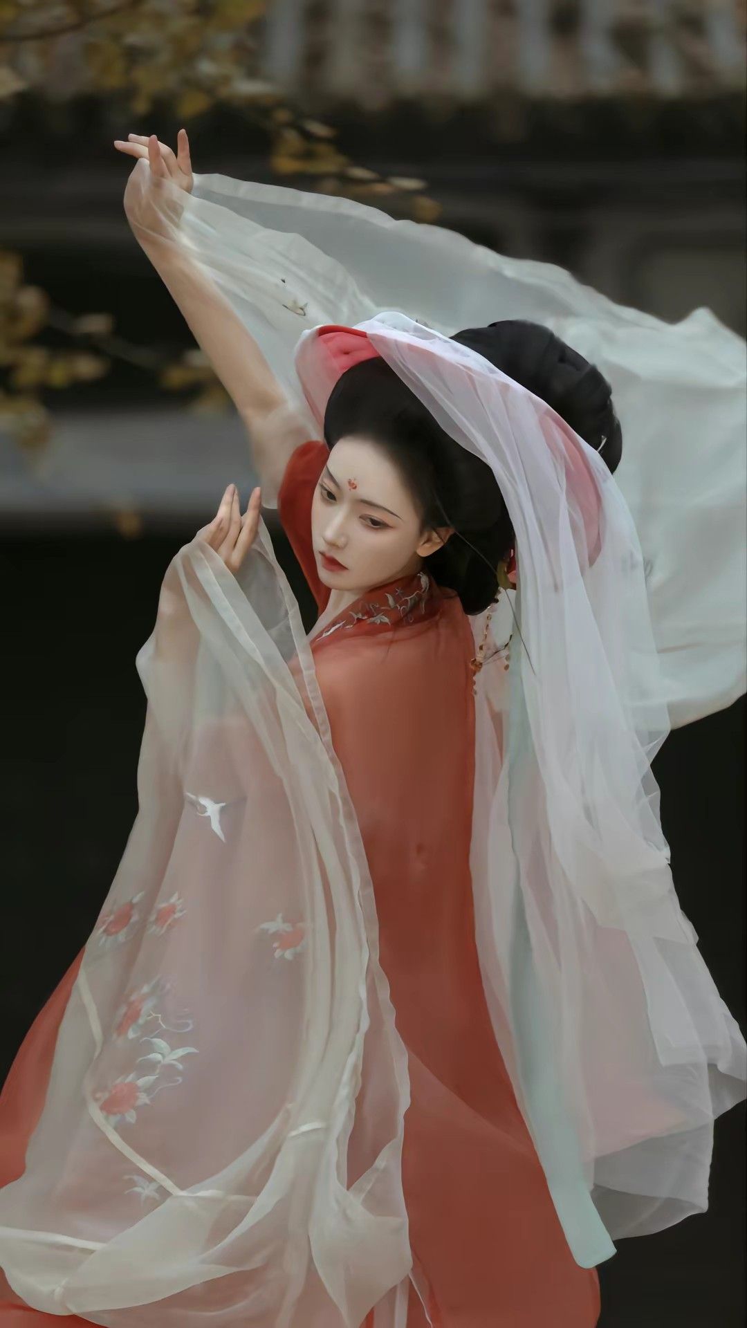 Cloud-Crane and Nine Heavens:The Splendor of Hanfu Fashion Cloud-Crane and Nine Heavens:The Splendor of Hanfu Fashion
