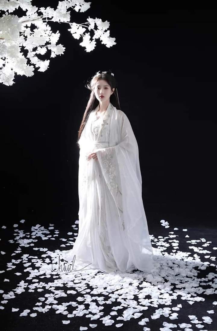 The Art of Cheongsam Shawls and the 40-Year-Old Elegance The Art of Cheongsam Shawls and the 40-Year-Old Elegance