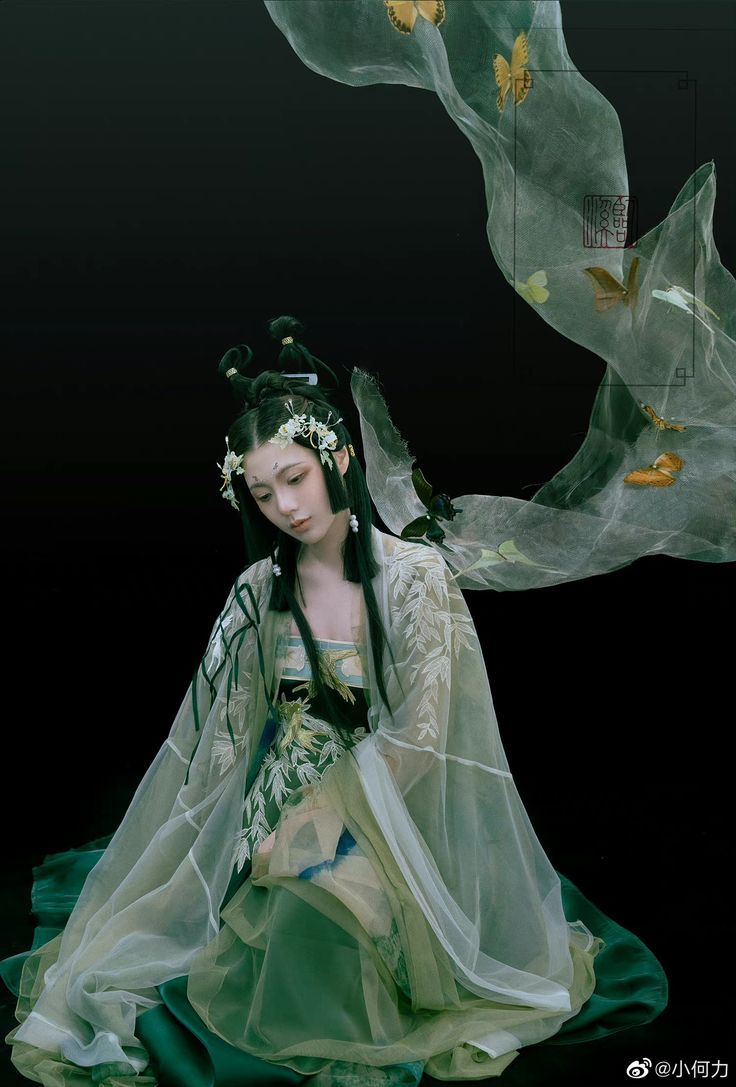 The Splendor of Tang-Style Hanfu Hair Combs:A Journey Through Ancient Chinese Hair Accessories The Splendor of Tang-Style Hanfu Hair Combs:A Journey Through Ancient Chinese Hair Accessories