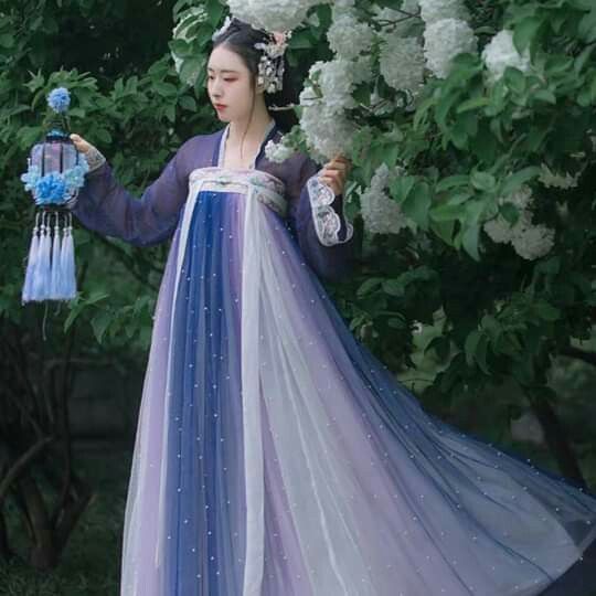 Ancient Costume:The Introduction of Traditional Hanfu for Female Middle School Students Ancient Costume:The Introduction of Traditional Hanfu for Female Middle School Students