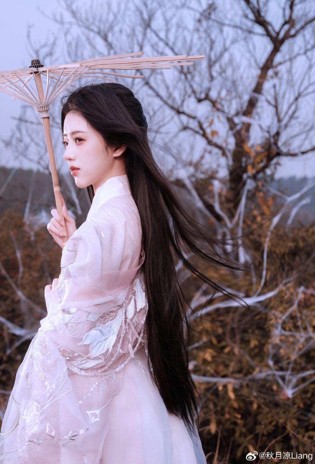 The Elegance of a Silver-Black Horseface Skirt:A Closer Look into Traditional Beauty The Elegance of a Silver-Black Horseface Skirt:A Closer Look into Traditional Beauty