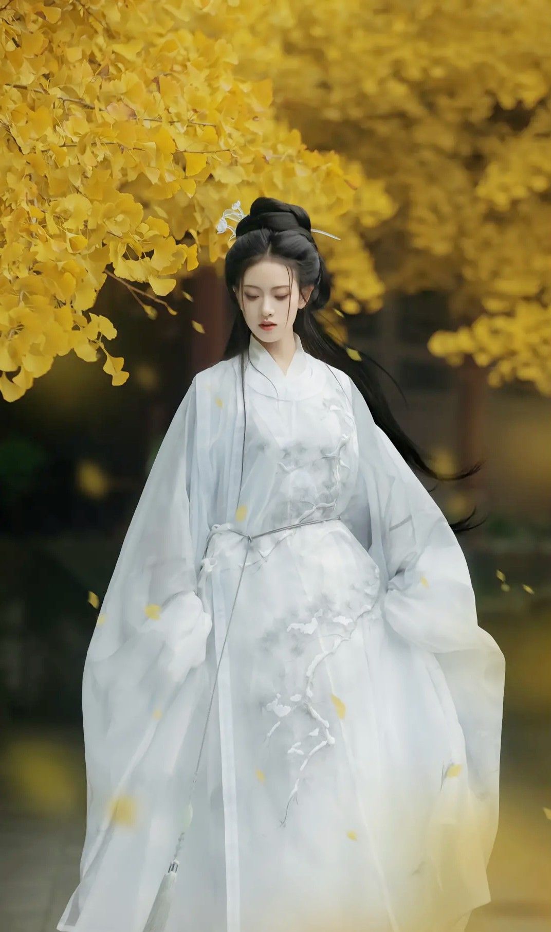Ancient Beauty in Modern Times:The Rise of Hanfu Hair Accessories for Women with Long Hair Ancient Beauty in Modern Times:The Rise of Hanfu Hair Accessories for Women with Long Hair