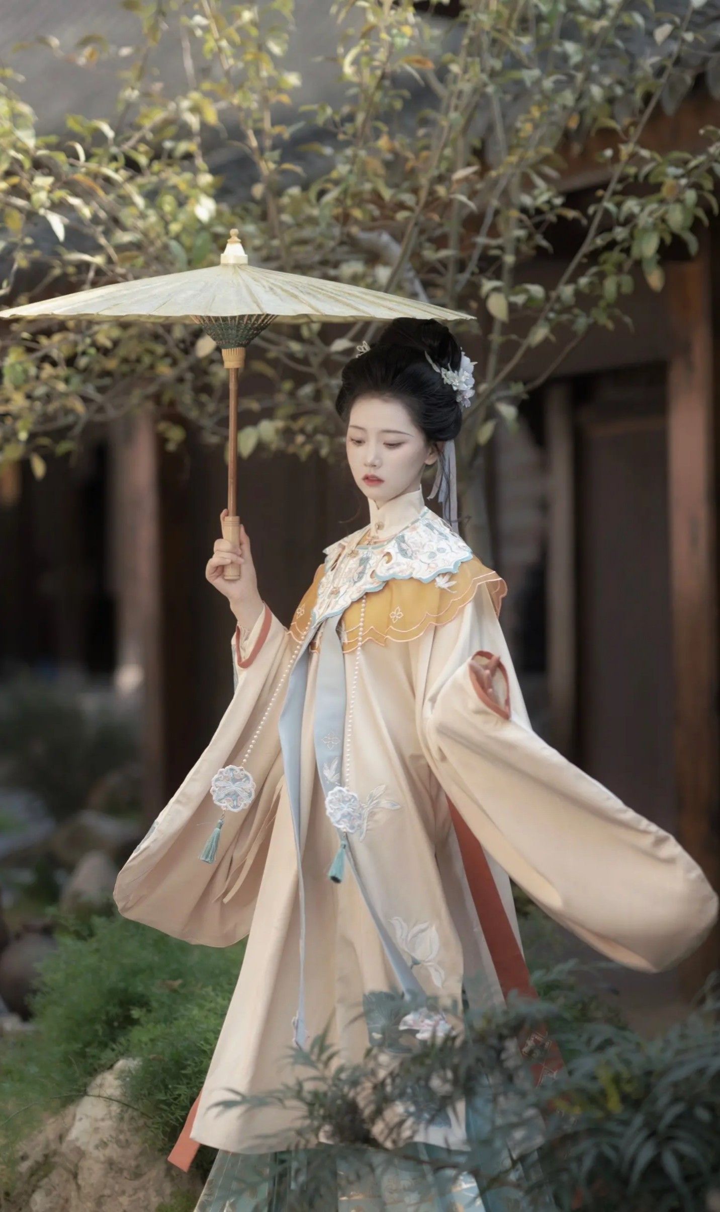 Embracing Modernity in Traditional Tang-Style Hanfu:The Evolution of Plus-Size Fashion
