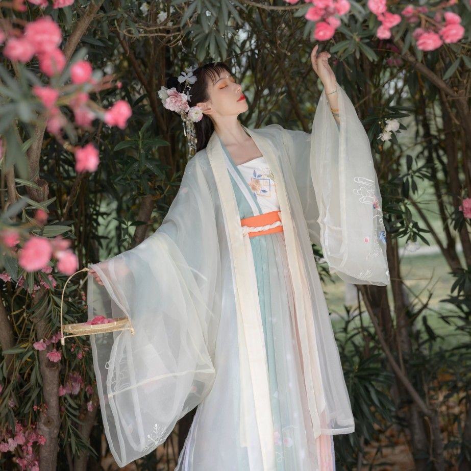 Hanfu Fashion for an Eight-Year-Old Elementary School Girl Hanfu Fashion for an Eight-Year-Old Elementary School Girl