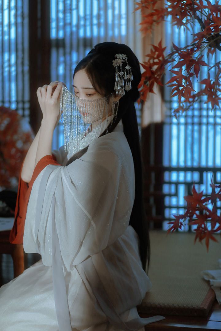 Winter Hanfu Fashion:Ancient Beauty in Modern Light Winter Hanfu Fashion:Ancient Beauty in Modern Light