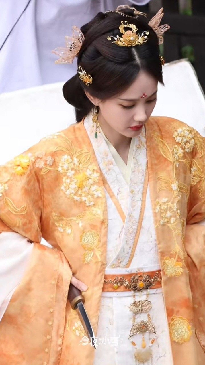 The Splendor of Hanfu in the Qing Dynasty:A Journey Through Time The Splendor of Hanfu in the Qing Dynasty:A Journey Through Time