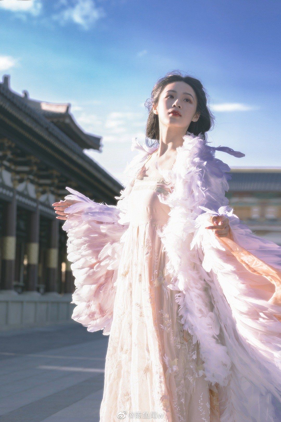 Elegant Womens Tang-Style Chinese Heritage Jacket:A Premium Blend of Tradition and Modernity