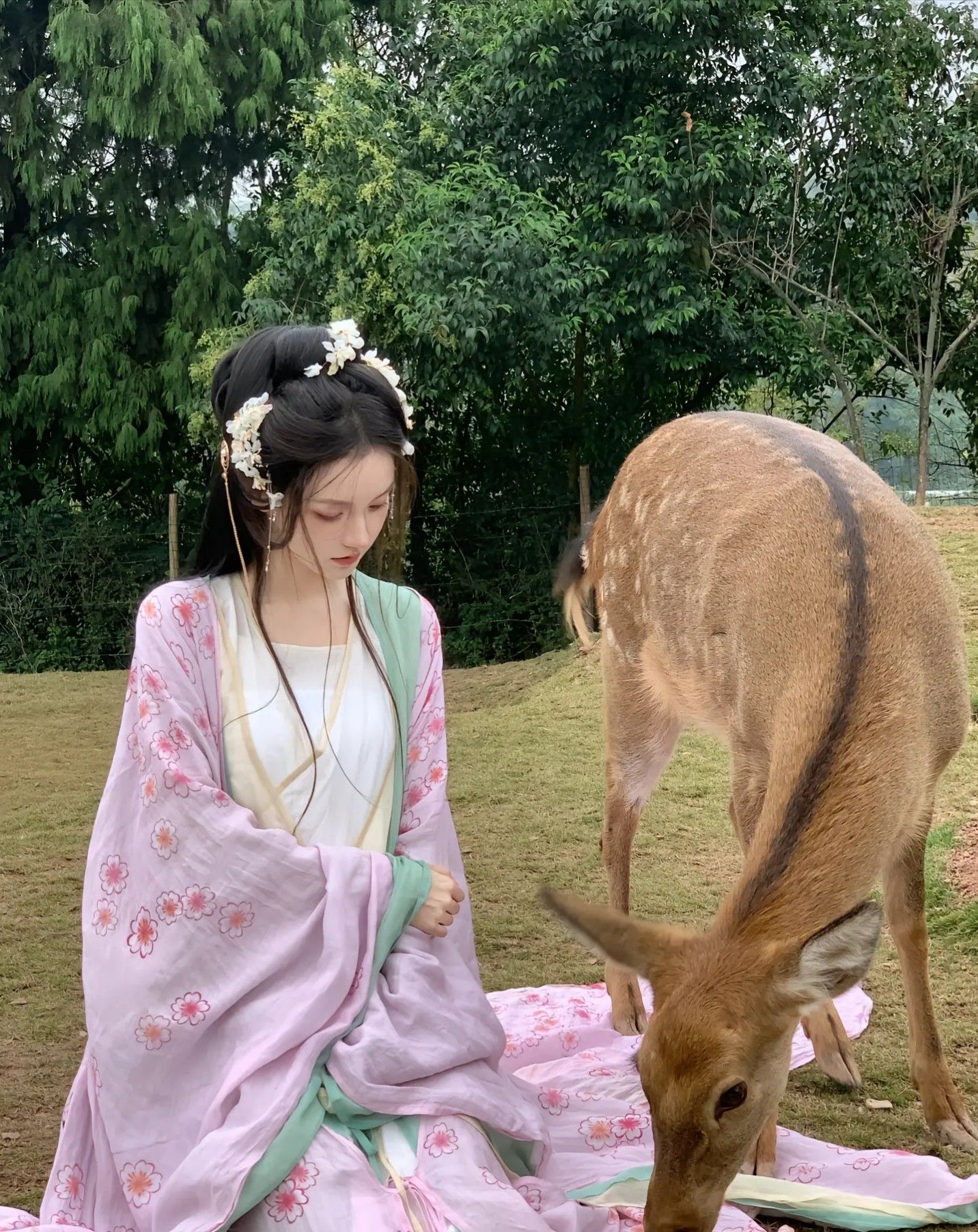 Reinventing the Traditional:Modern Feminine Fairyland in the World of Hanfu Fashion Reinventing the Traditional:Modern Feminine Fairyland in the World of Hanfu Fashion