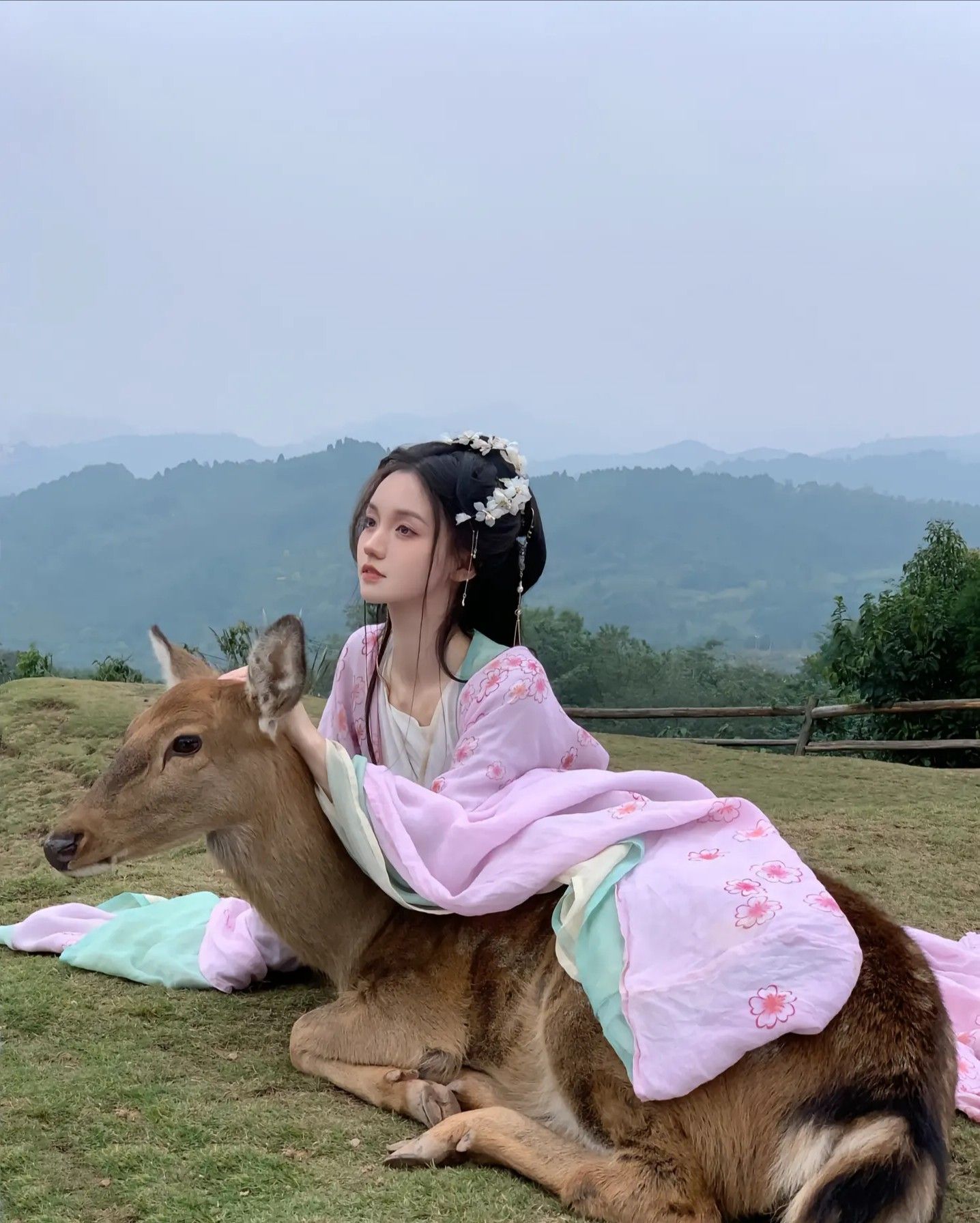 Baby Hanfu Two-Piece Set:A Glance into Traditional Elegance for Little Ones Baby Hanfu Two-Piece Set:A Glance into Traditional Elegance for Little Ones