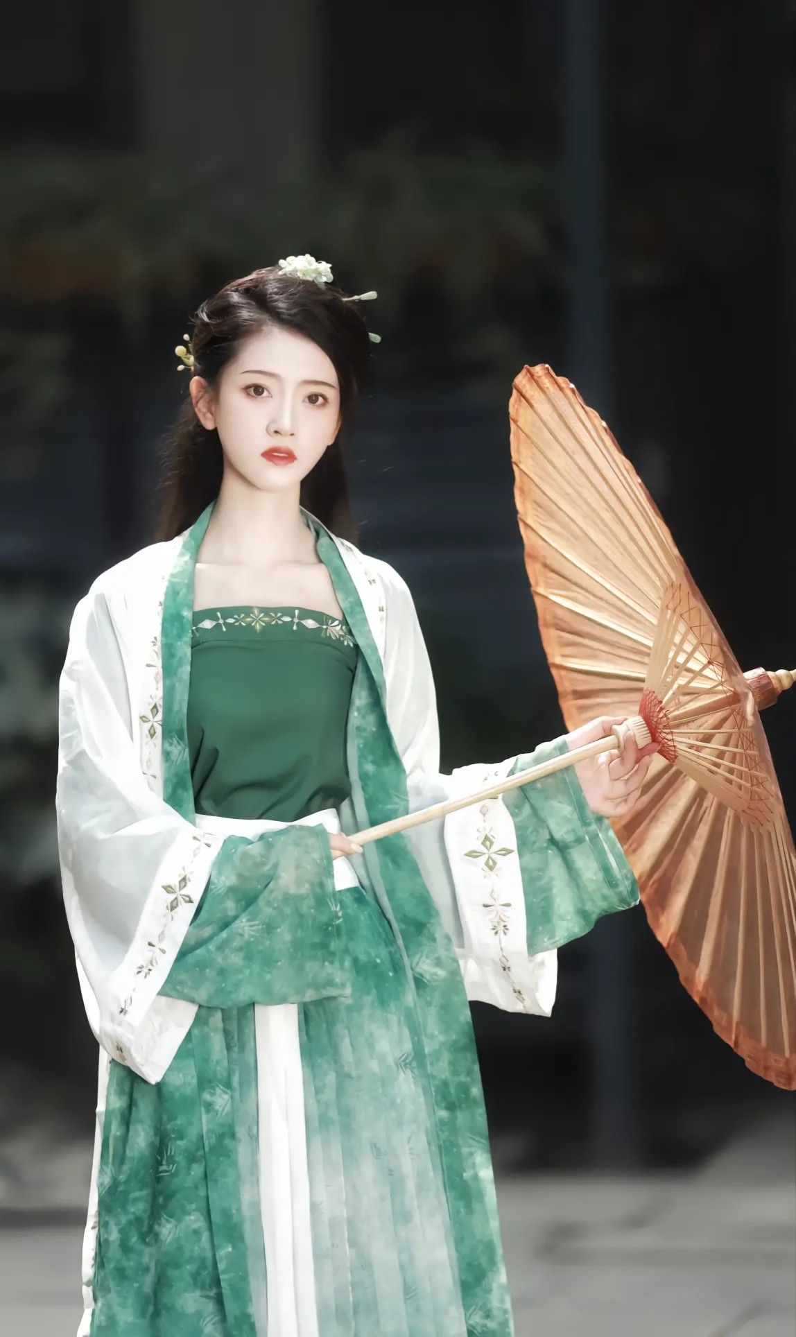 Winter Warmth in Traditional Hanfu Fashion:A Thickened Full Set for the Cold Seasons Winter Warmth in Traditional Hanfu Fashion:A Thickened Full Set for the Cold Seasons