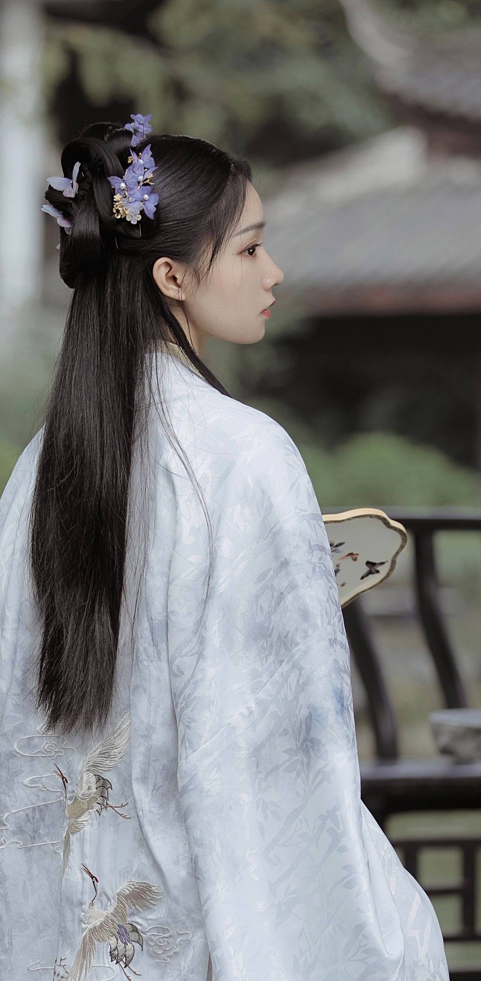 The Enigma of Hanfu Fashion:Unraveling the Rumored Chen Qianqians Style The Enigma of Hanfu Fashion:Unraveling the Rumored Chen Qianqians Style