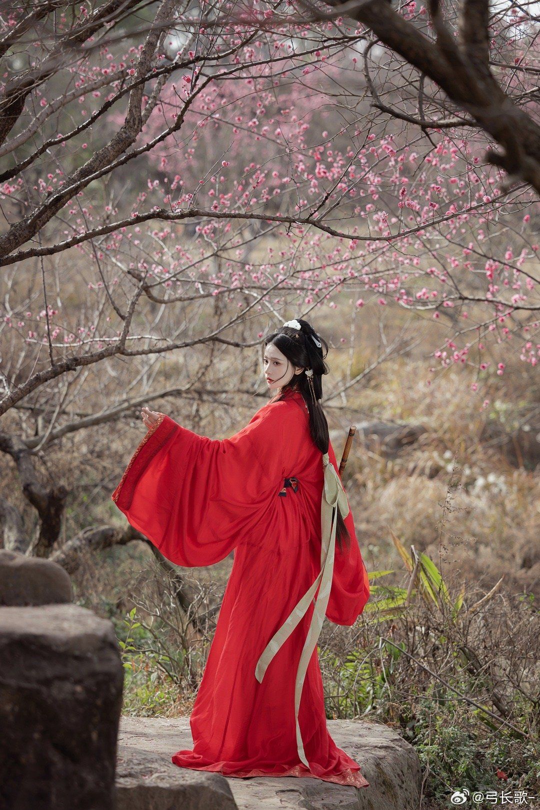 The Dominating Charm of Hanfu at Age 12:A Journey into the World of Bold Traditional Elegance