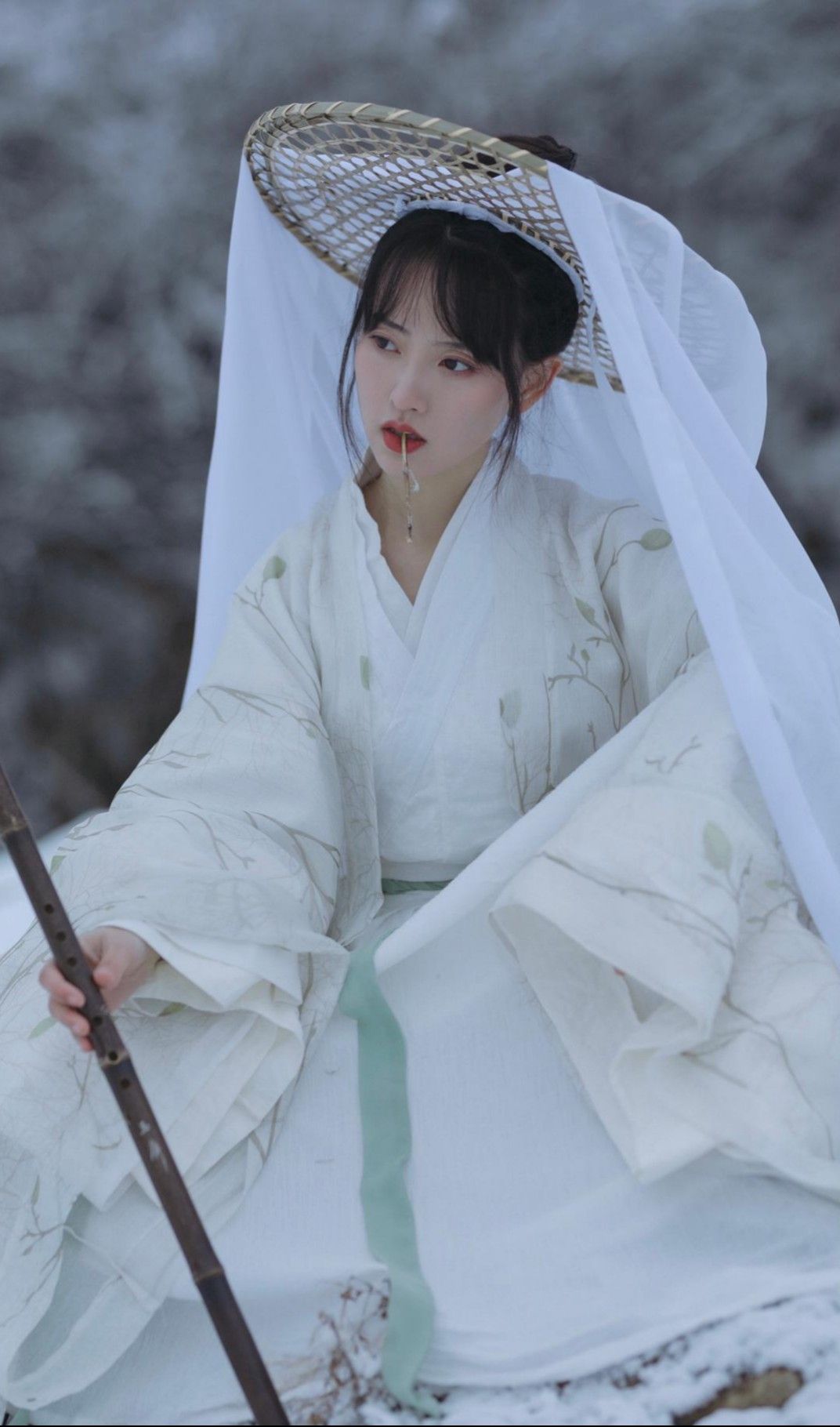 Affordable Elegance:The Rise of Hanfu for College Students on a Budget Affordable Elegance:The Rise of Hanfu for College Students on a Budget