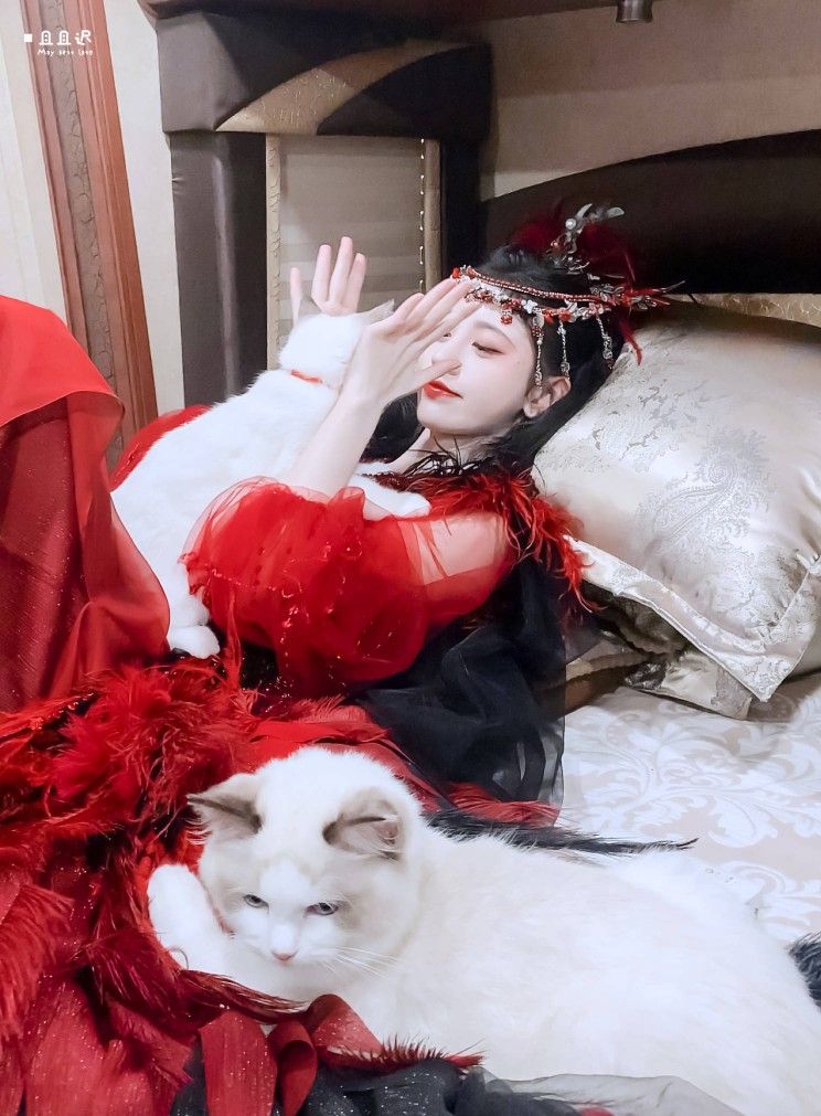 Daily Life in Summer with Hanfu:The Song Dynasty Style Daily Life in Summer with Hanfu:The Song Dynasty Style