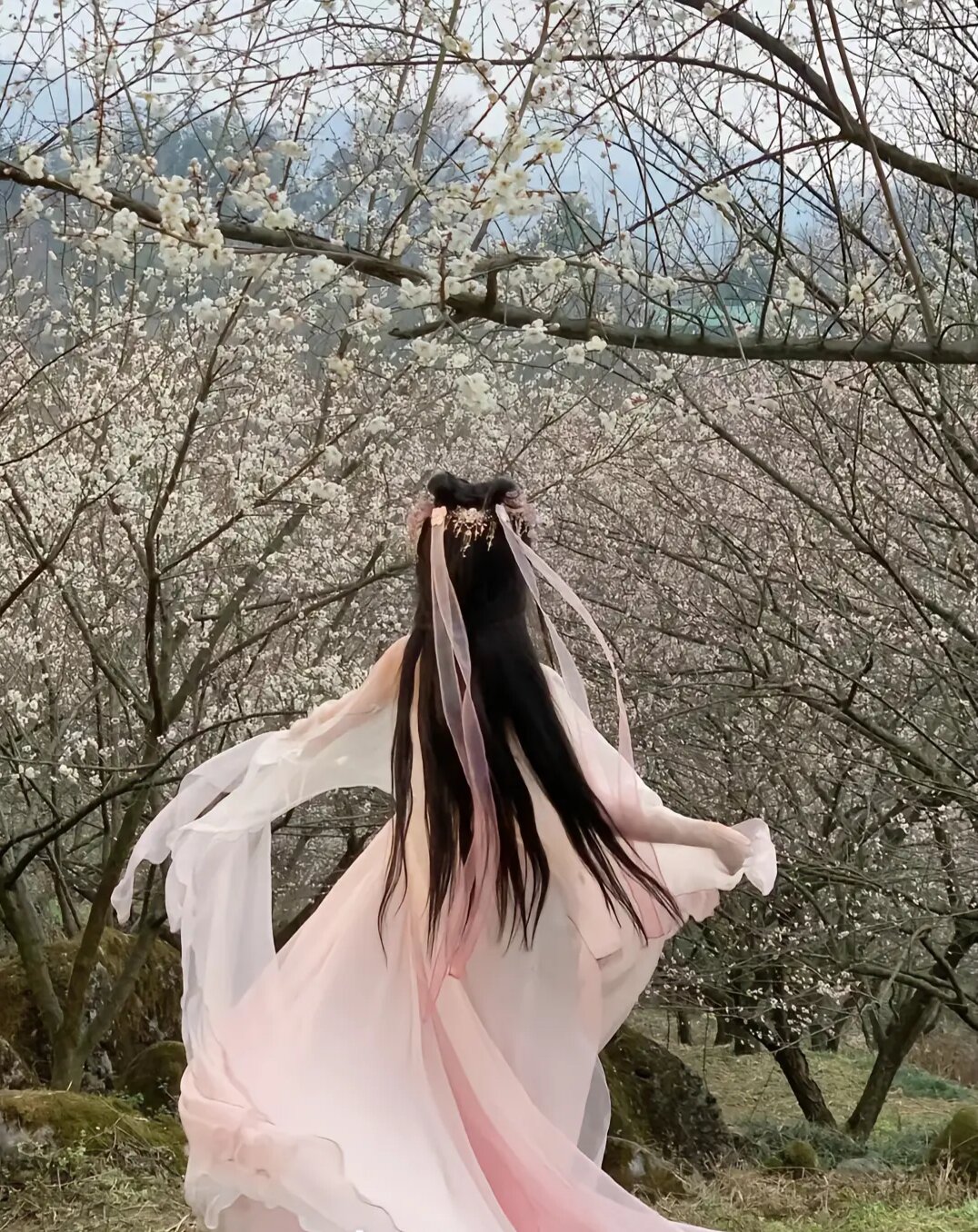 The Rise of Hanfu Fashion for Children:A Cultural Journey into Traditional Chinese Clothing The Rise of Hanfu Fashion for Children:A Cultural Journey into Traditional Chinese Clothing