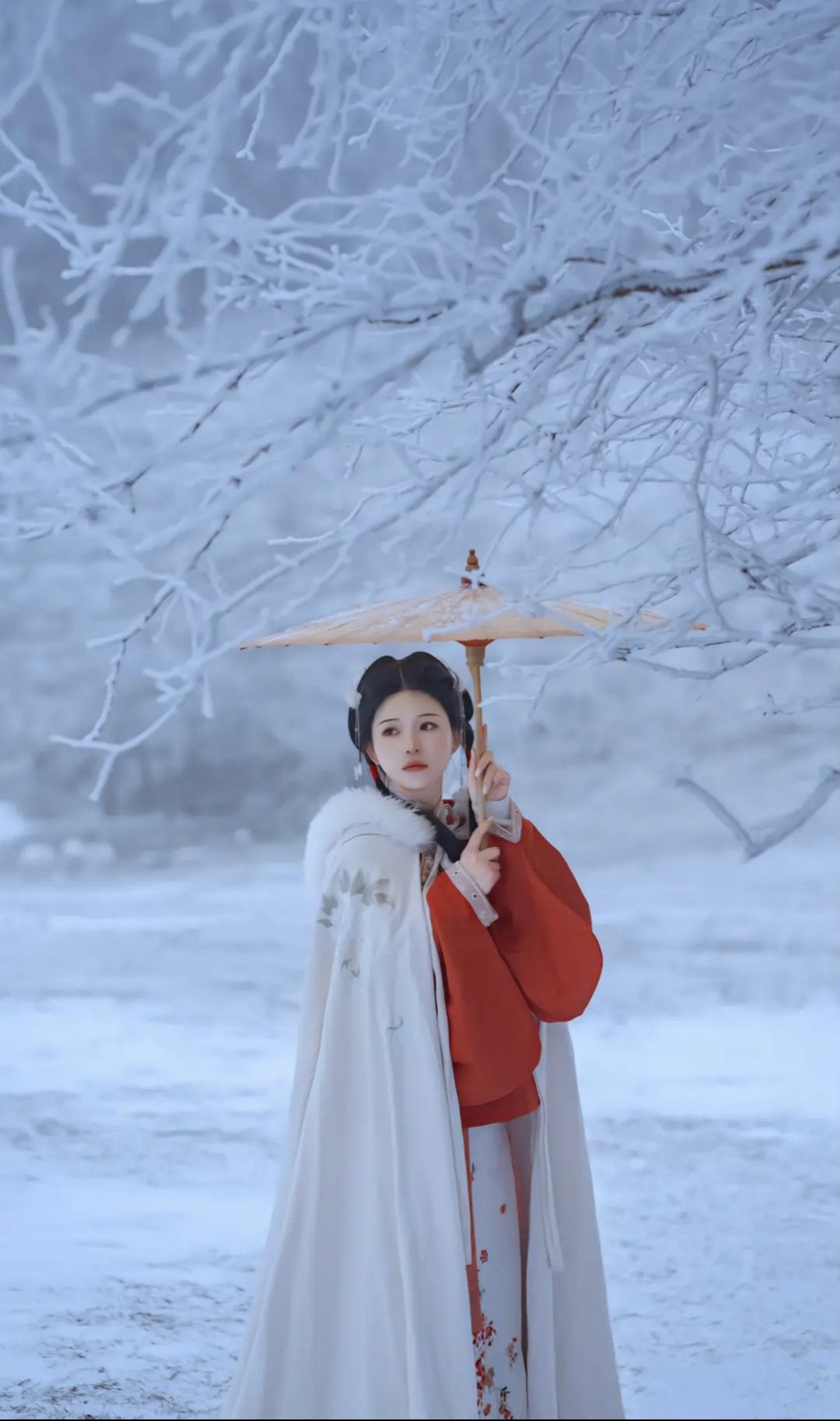 The Journey of Ancient Primary School Children in Hanfu Traditional Clothing The Journey of Ancient Primary School Children in Hanfu Traditional Clothing