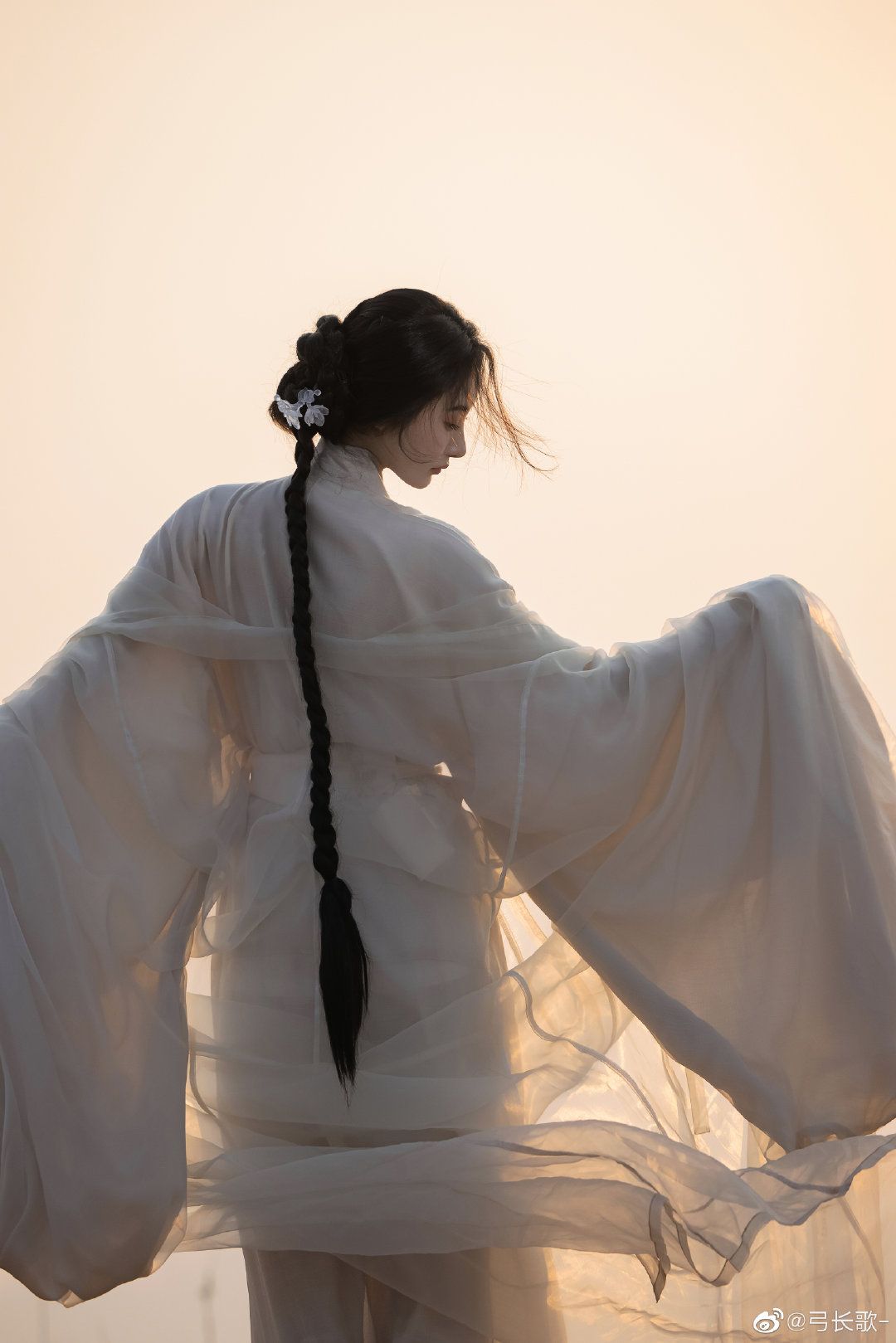 Traditional Tang-Style Womens Hanfu for Adults:A Blend of Ancient Elegance and Modern Charm