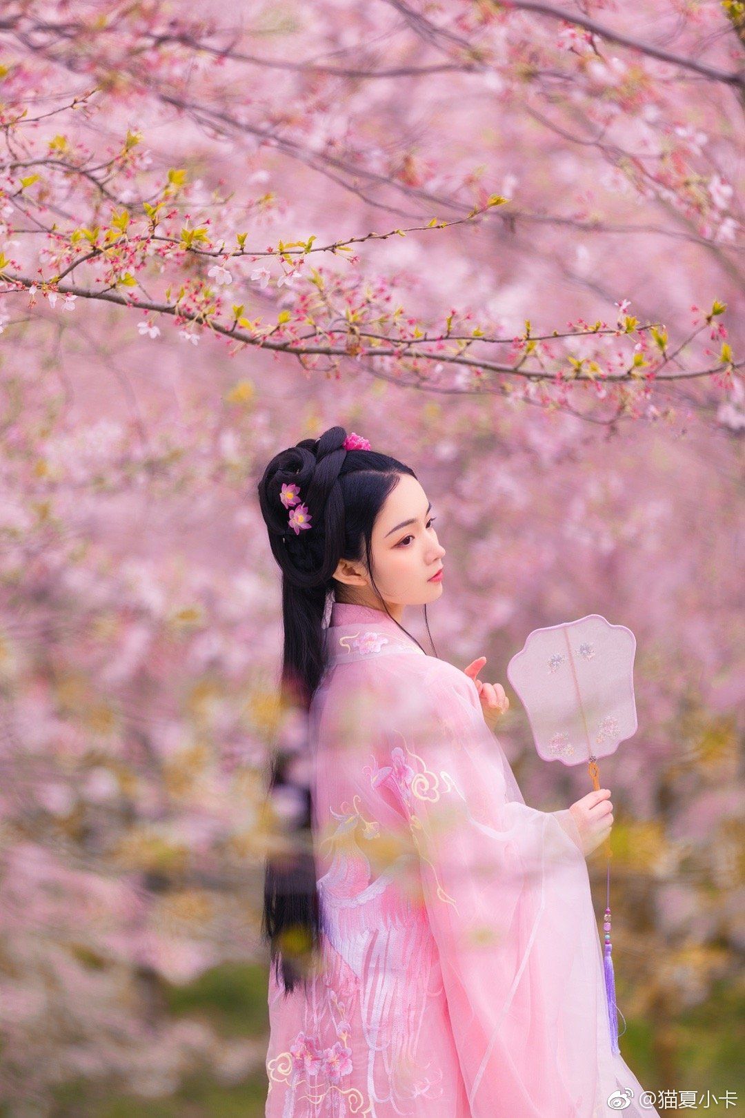 鞠婧祎s Hanfu Hair Accessories:Exploring the Trendy Traditional Beauty 鞠婧祎s Hanfu Hair Accessories:Exploring the Trendy Traditional Beauty