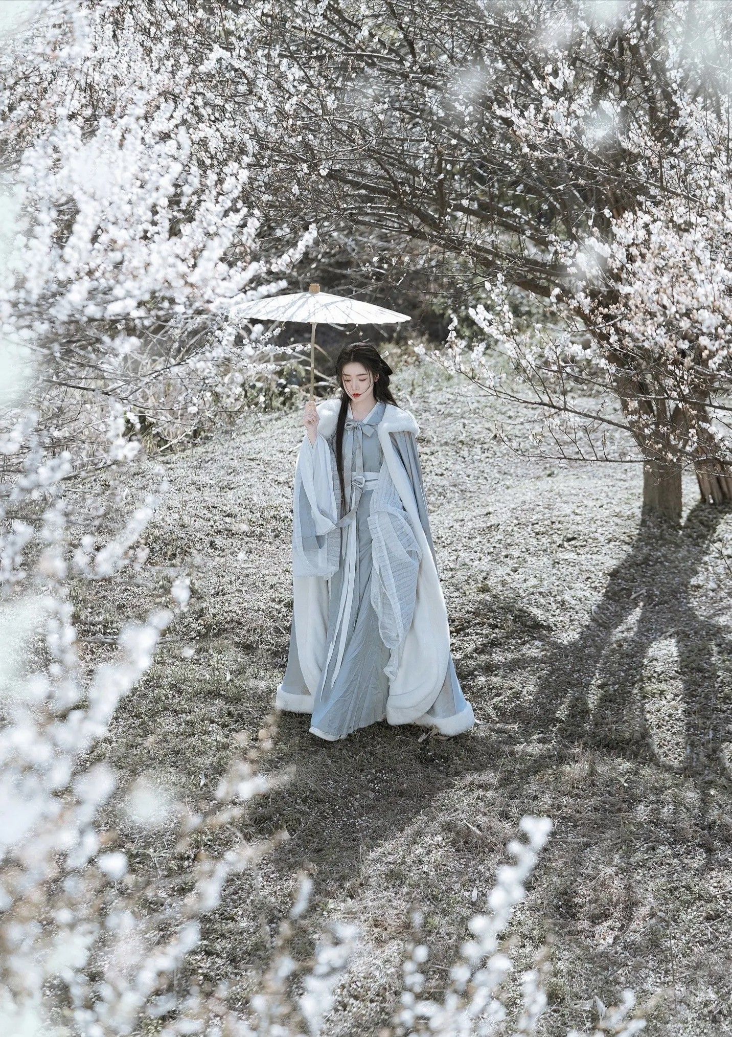 Winter Hanfu Fashion for Adult Women:Embracing Traditional Elegance in Modern Times Winter Hanfu Fashion for Adult Women:Embracing Traditional Elegance in Modern Times