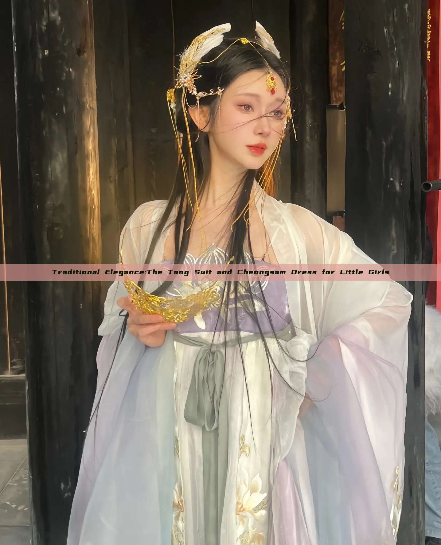 Traditional Elegance:The Tang Suit and Cheongsam Dress for Little Girls Traditional Elegance:The Tang Suit and Cheongsam Dress for Little Girls