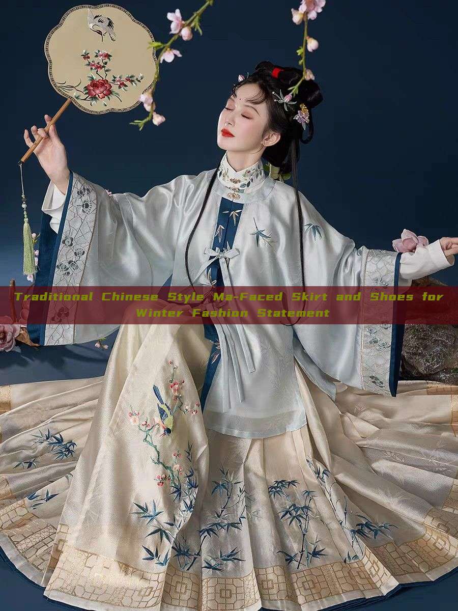Traditional Chinese Style Ma-Faced Skirt and Shoes for Winter Fashion Statement Traditional Chinese Style Ma-Faced Skirt and Shoes for Winter Fashion Statement