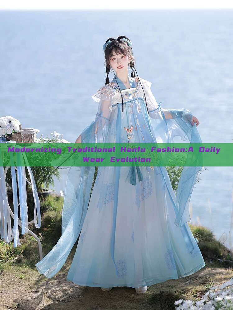 Modernizing Traditional Hanfu Fashion:A Daily Wear Evolution